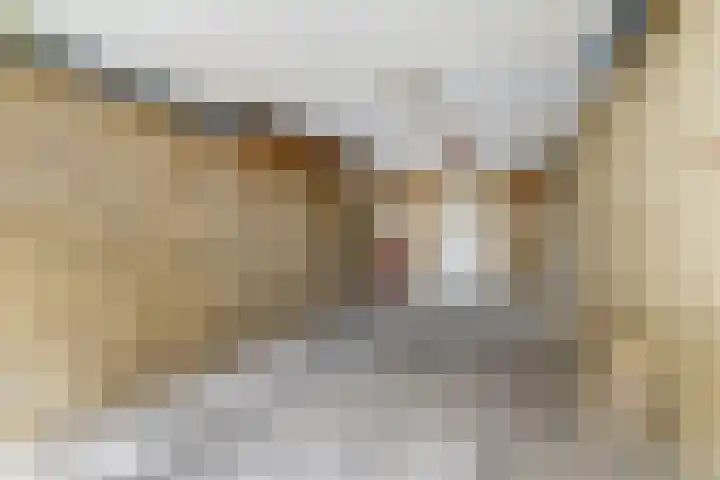 Van Haestrechtstraat 28 Goirle thumbnail 37