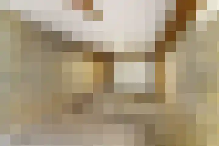 Van Haestrechtstraat 28 Goirle thumbnail 38