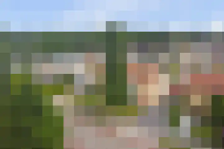 Van Haestrechtstraat 28 Goirle thumbnail 47