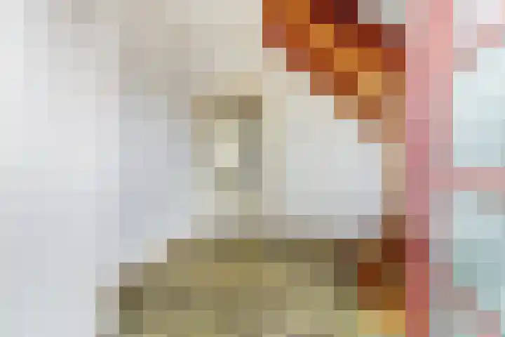 Van Haestrechtstraat 28 Goirle thumbnail 5