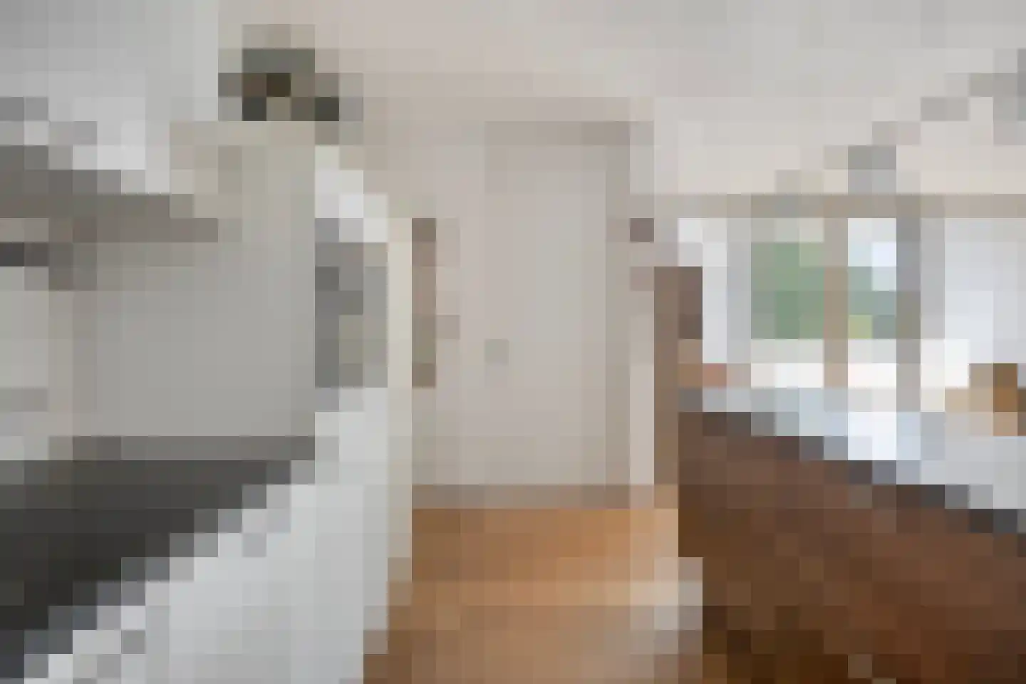 Van Haestrechtstraat 4 07 Goirle thumbnail 11