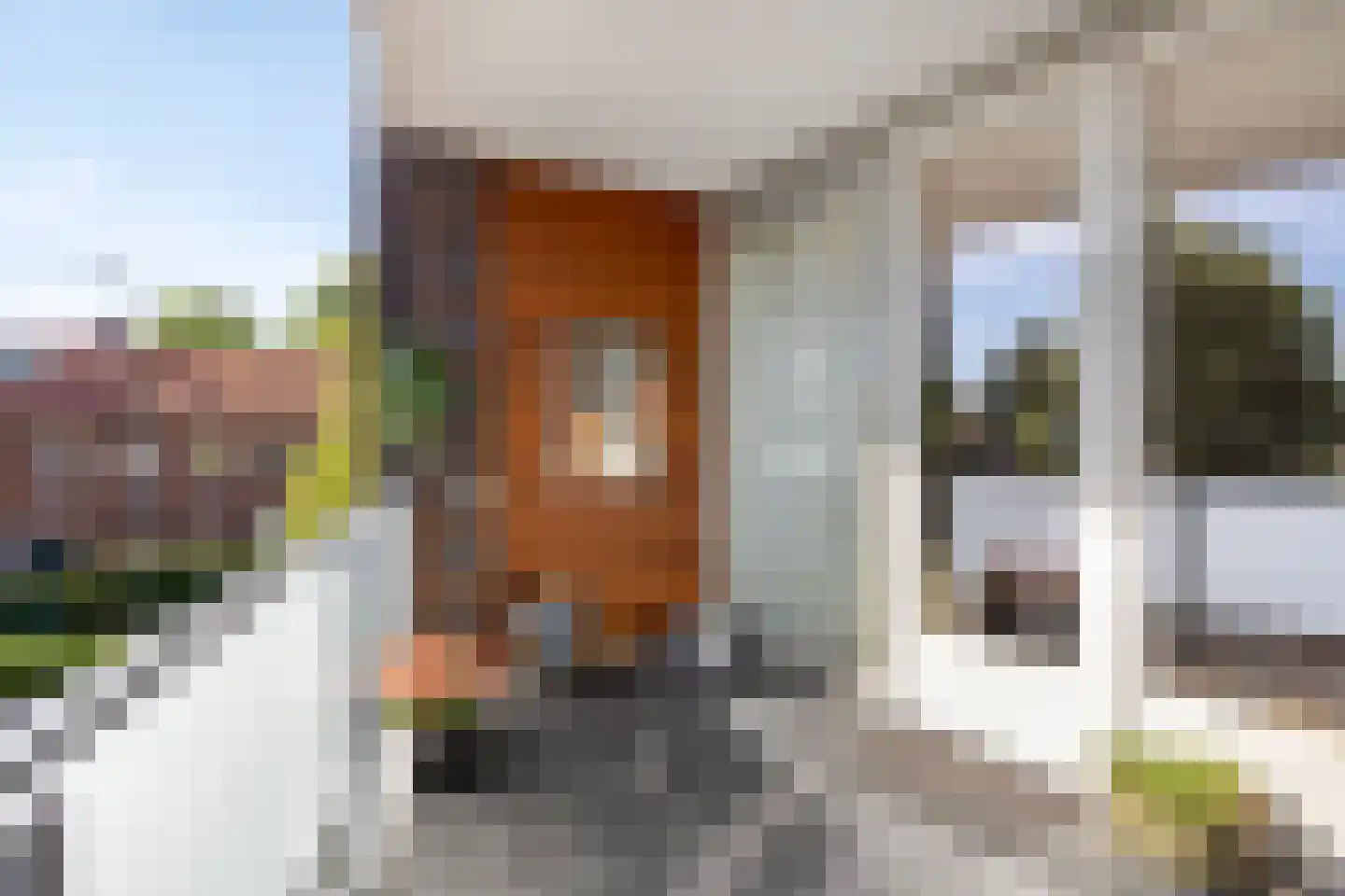 Van Haestrechtstraat 4 07 Goirle thumbnail 19