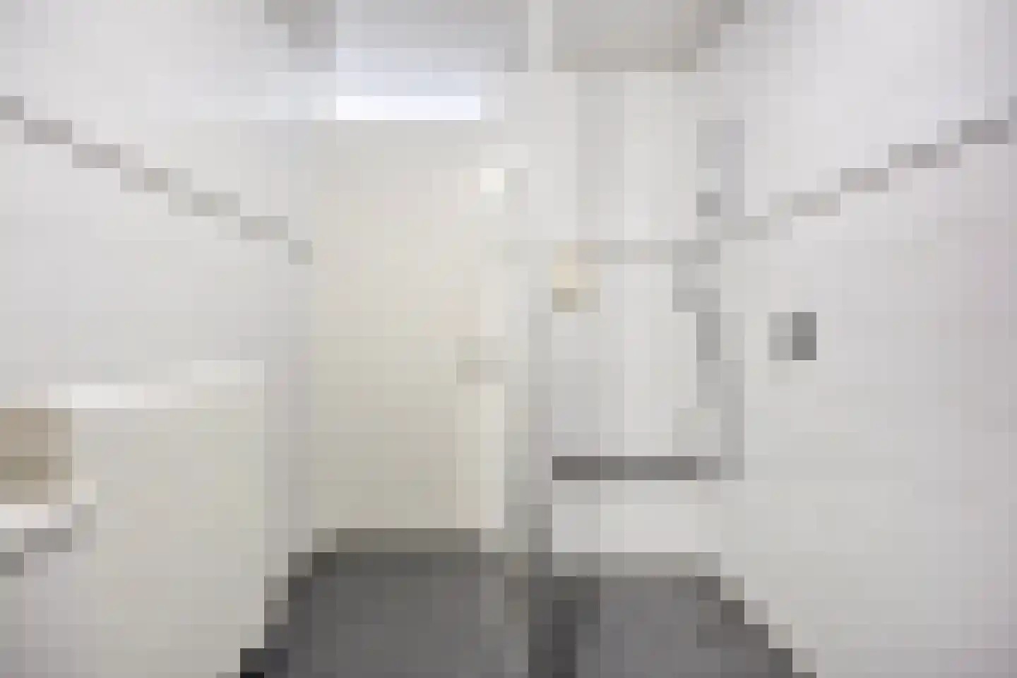 Van Haestrechtstraat 4 07 Goirle thumbnail 24