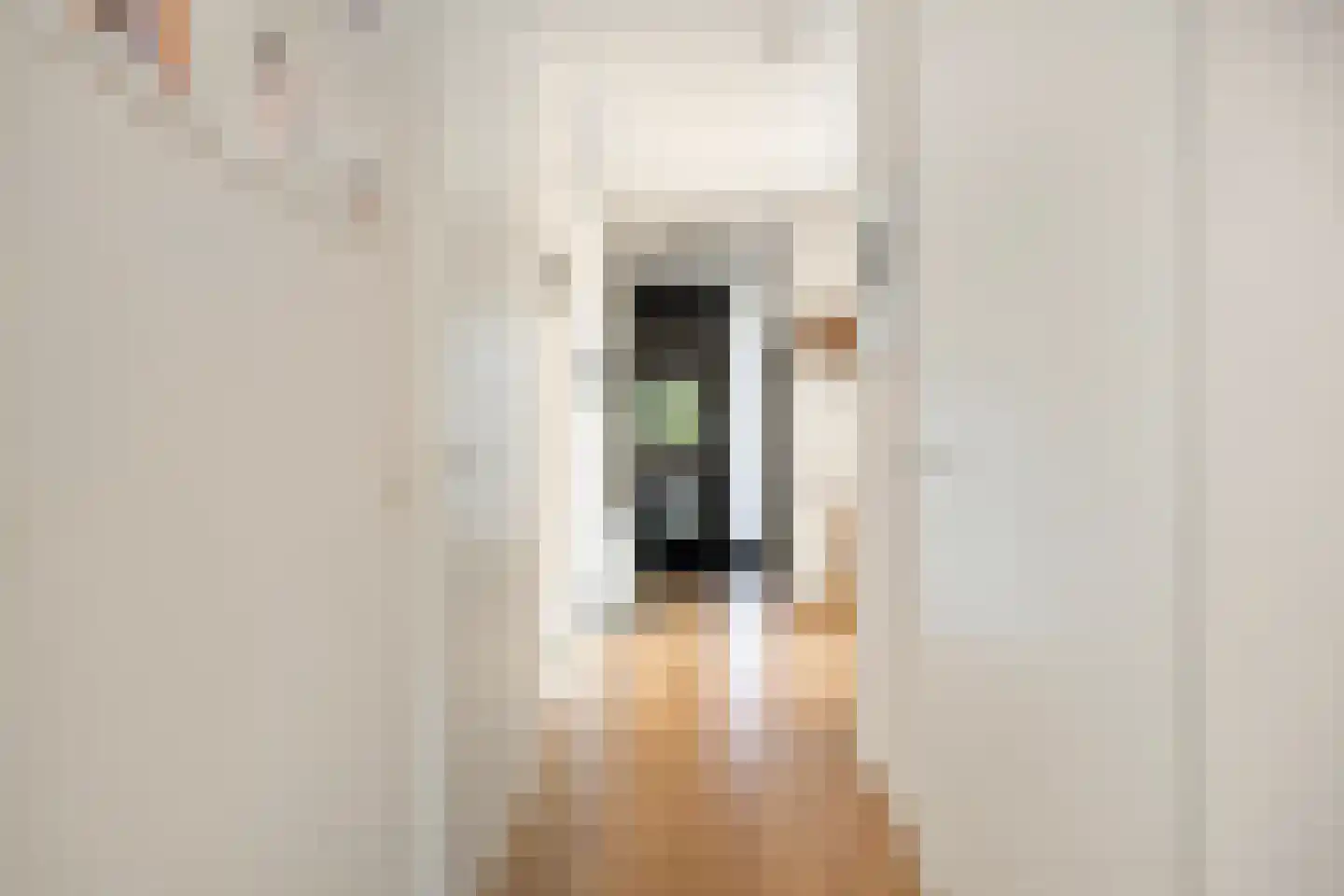 Van Haestrechtstraat 4 07 Goirle thumbnail 30