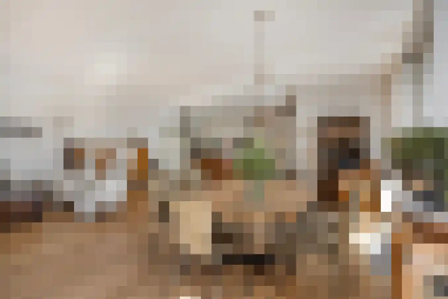 Van Haestrechtstraat 4 07 Goirle thumbnail 6
