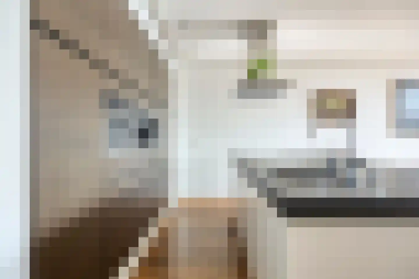 Van Haestrechtstraat 4 08 Goirle thumbnail 15