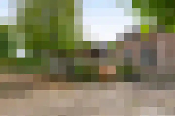 van Haestrechtstraat 42 Kaatsheuvel thumbnail 35