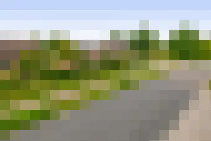 van Haestrechtstraat 42 Kaatsheuvel thumbnail 5