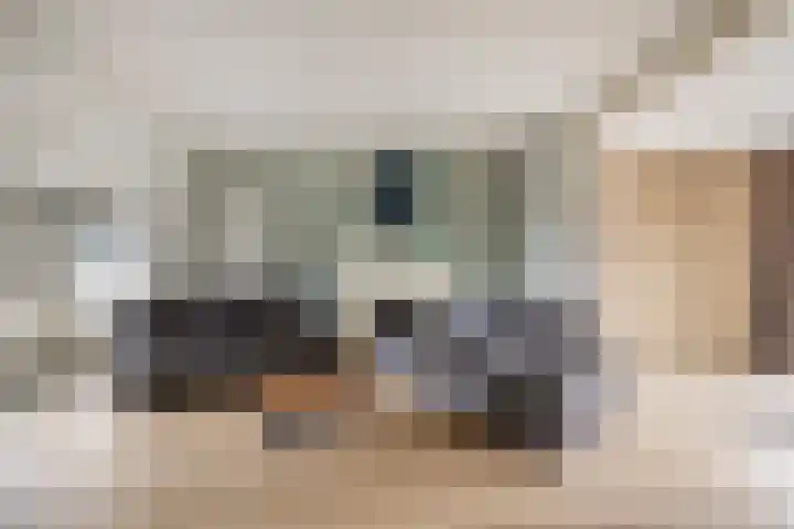 van Haestrechtstraat 42 Kaatsheuvel thumbnail 6