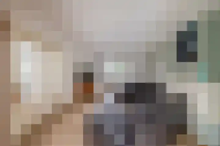 van Haestrechtstraat 42 Kaatsheuvel thumbnail 7