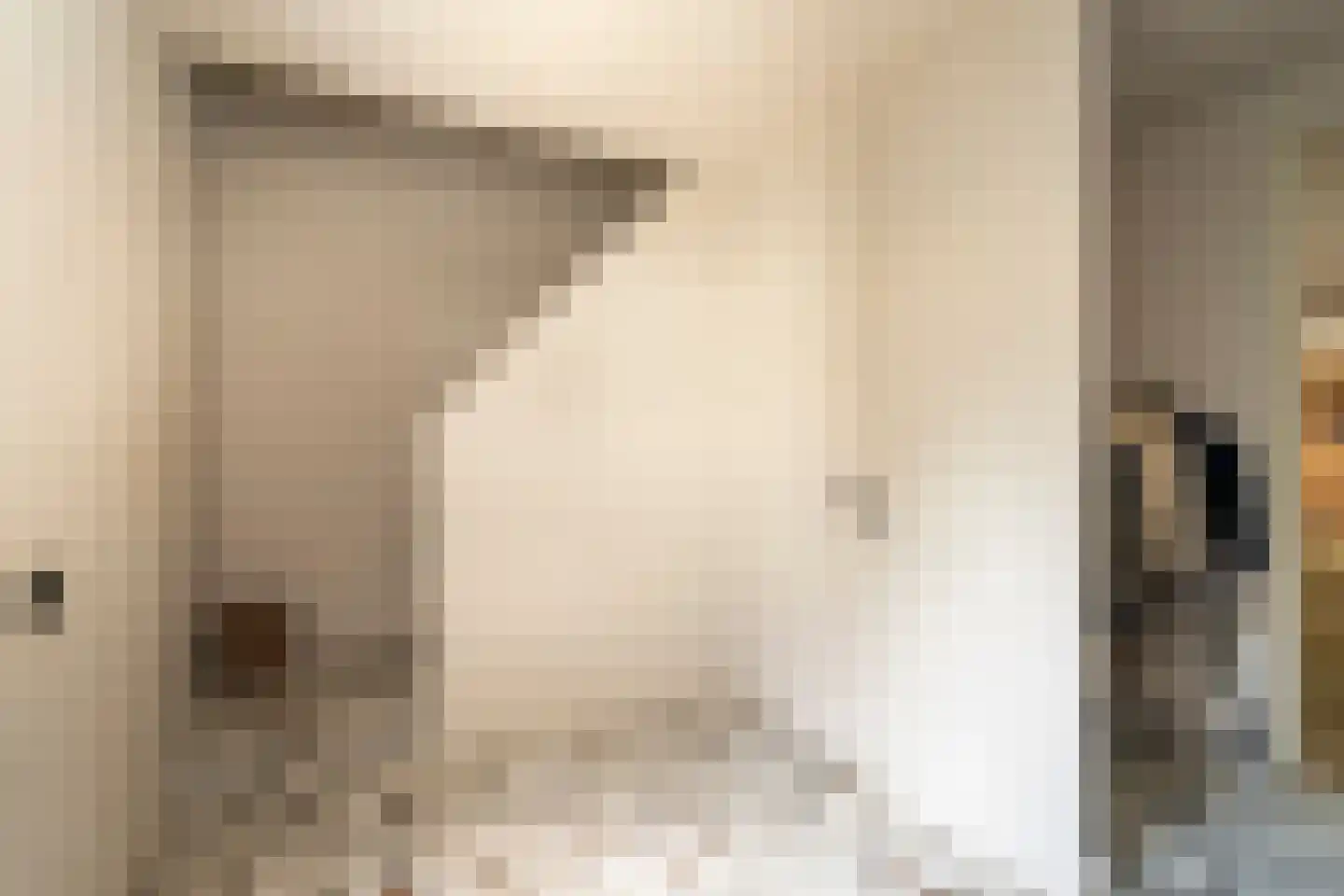 Van Haestrechtstraat 70 Goirle thumbnail 12