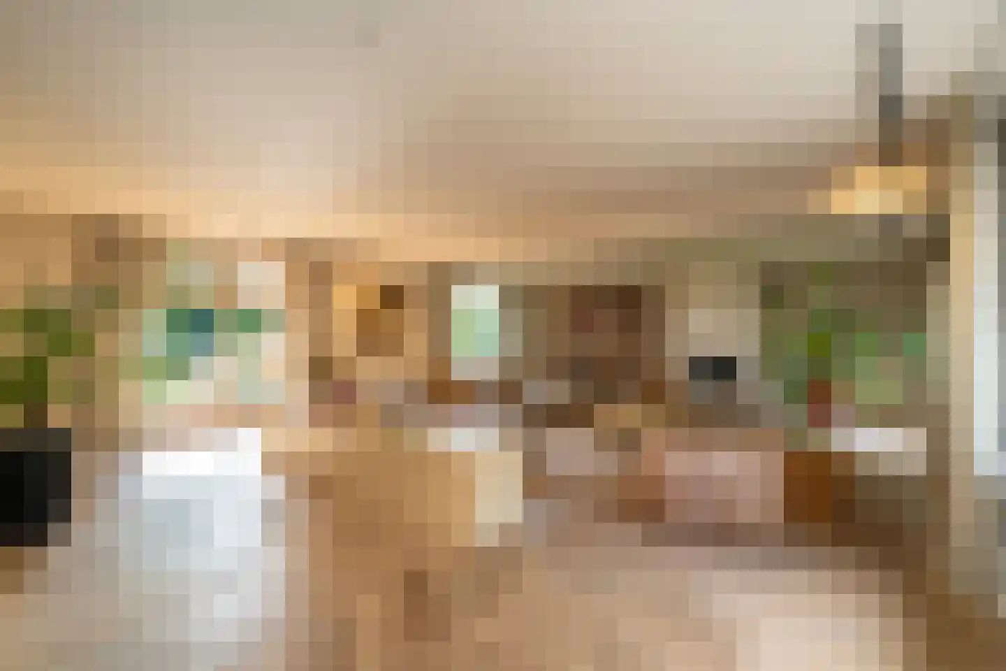 Van Haestrechtstraat 70 Goirle thumbnail 14