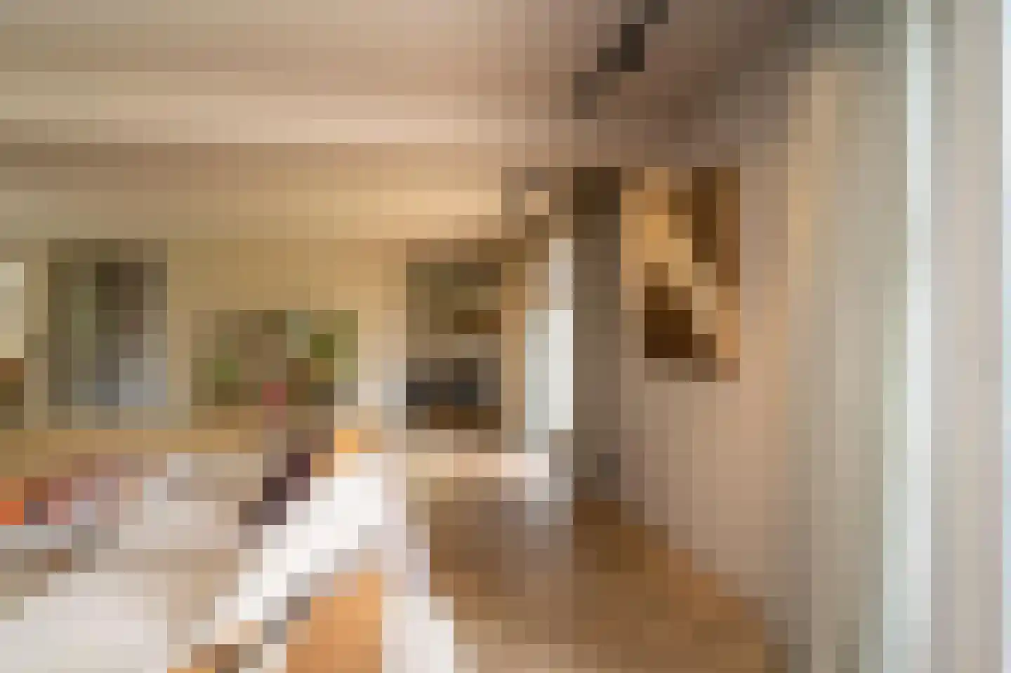 Van Haestrechtstraat 70 Goirle thumbnail 17