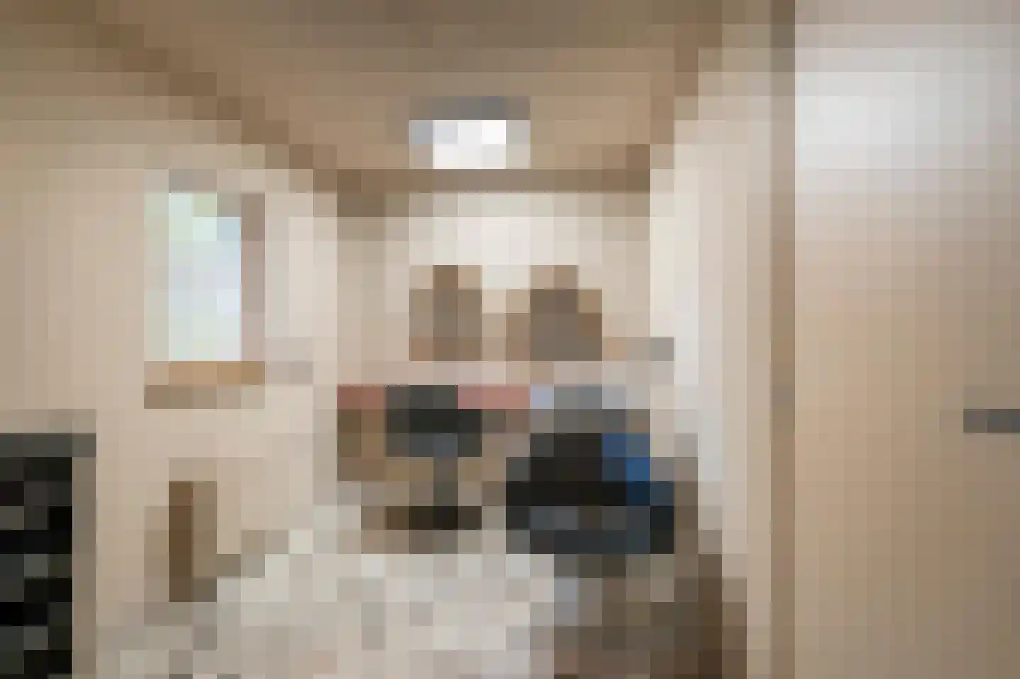 Van Haestrechtstraat 70 Goirle thumbnail 19
