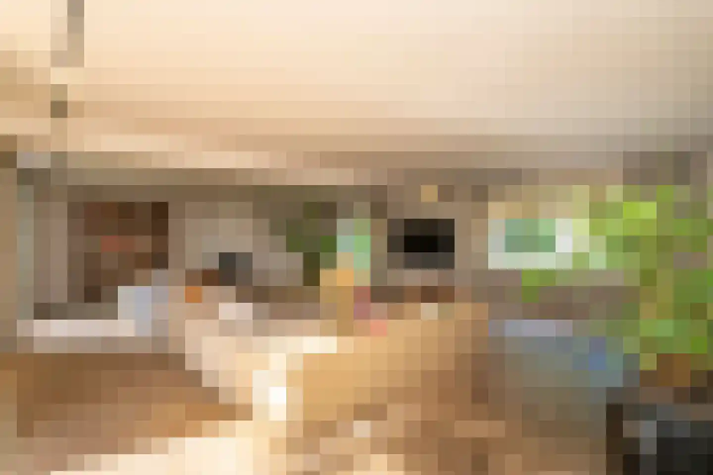 Van Haestrechtstraat 70 Goirle thumbnail 20