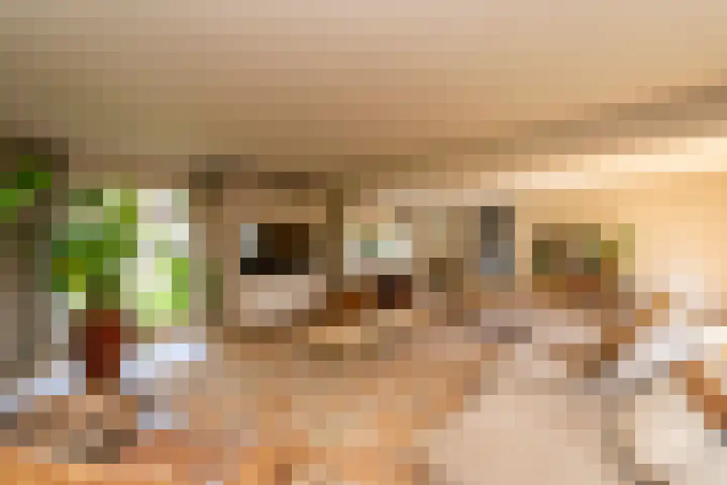 Van Haestrechtstraat 70 Goirle thumbnail 21