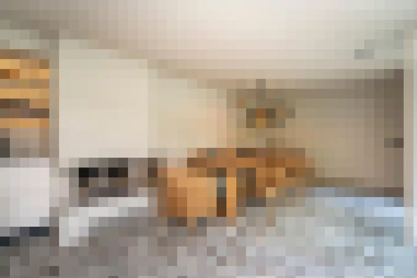 Van Haestrechtstraat 70 Goirle thumbnail 23