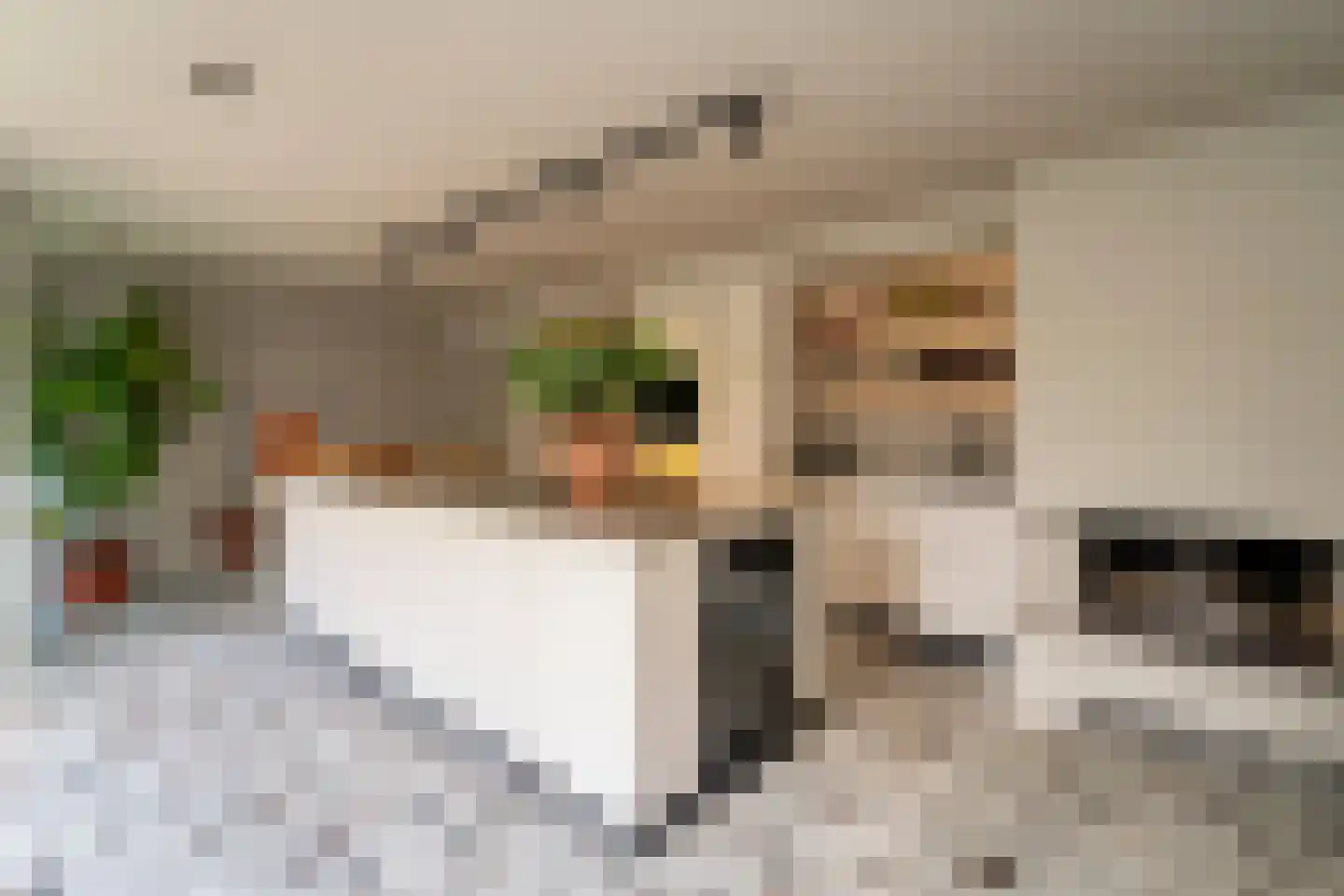 Van Haestrechtstraat 70 Goirle thumbnail 24