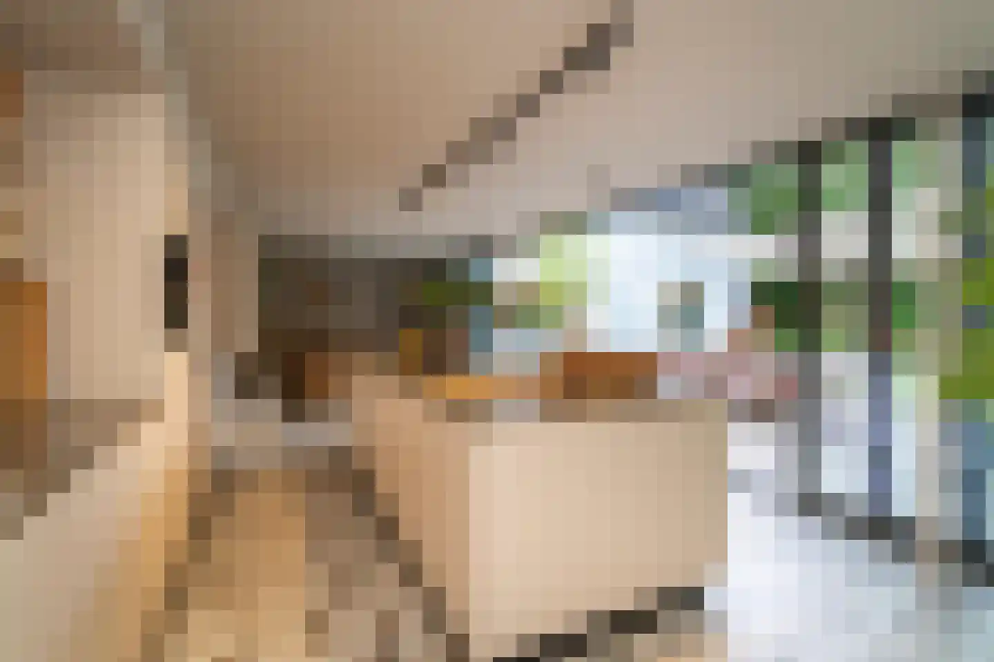 Van Haestrechtstraat 70 Goirle thumbnail 25