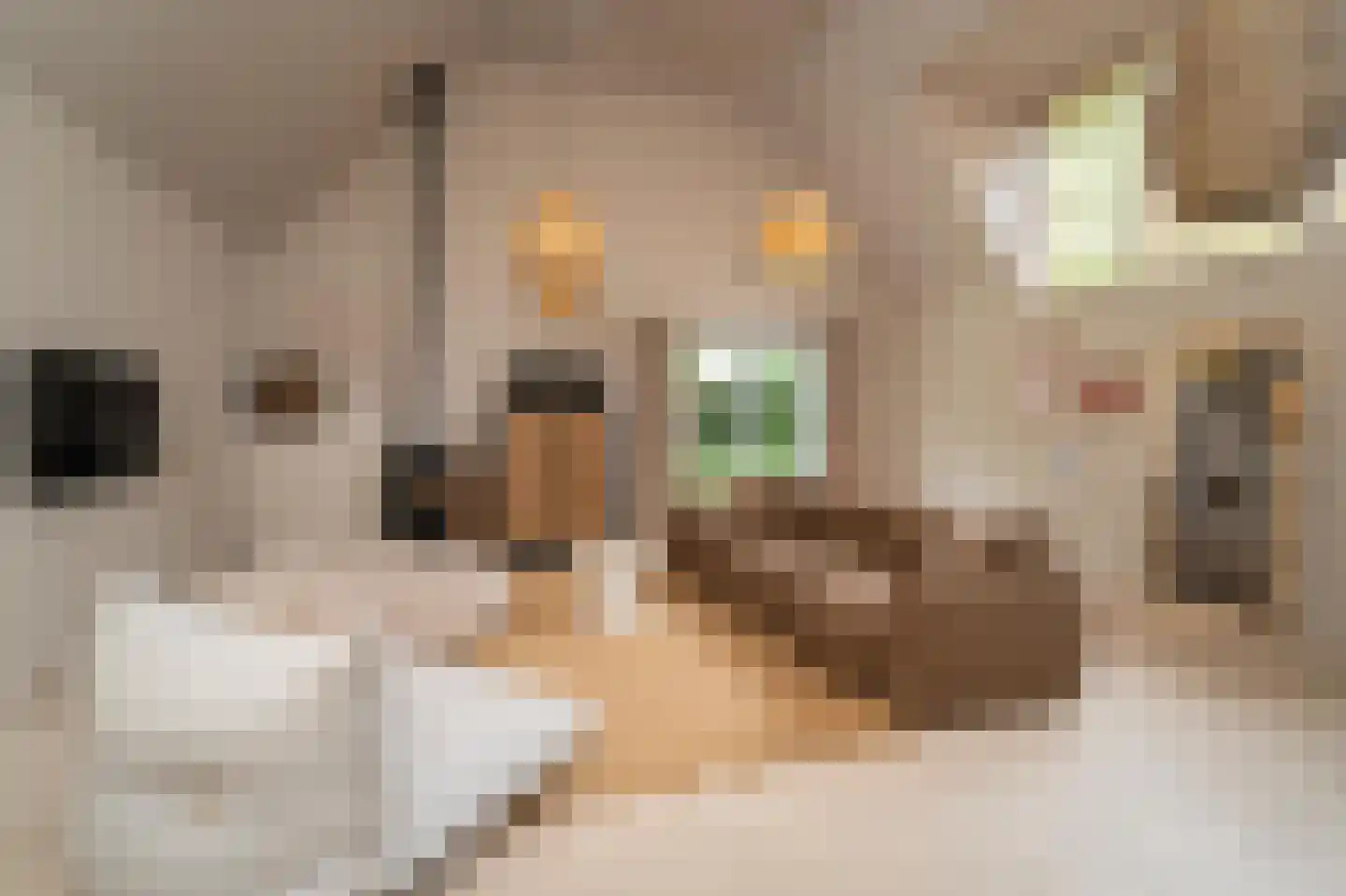 Van Haestrechtstraat 70 Goirle thumbnail 27