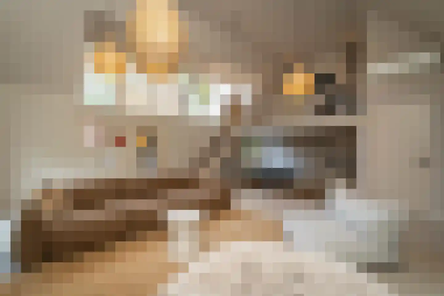 Van Haestrechtstraat 70 Goirle thumbnail 28