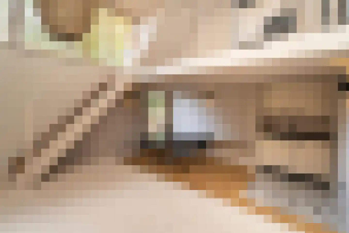 Van Haestrechtstraat 70 Goirle thumbnail 29