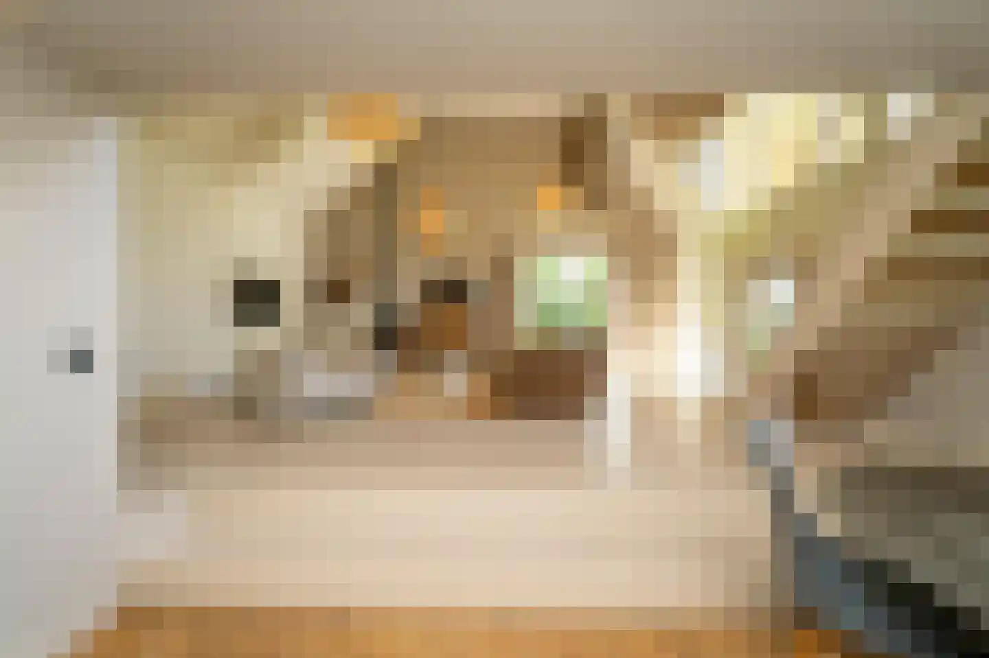 Van Haestrechtstraat 70 Goirle thumbnail 30