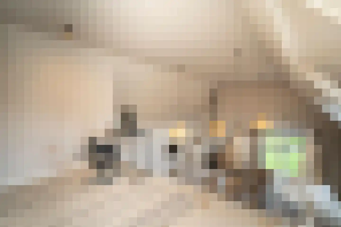 Van Haestrechtstraat 70 Goirle thumbnail 31