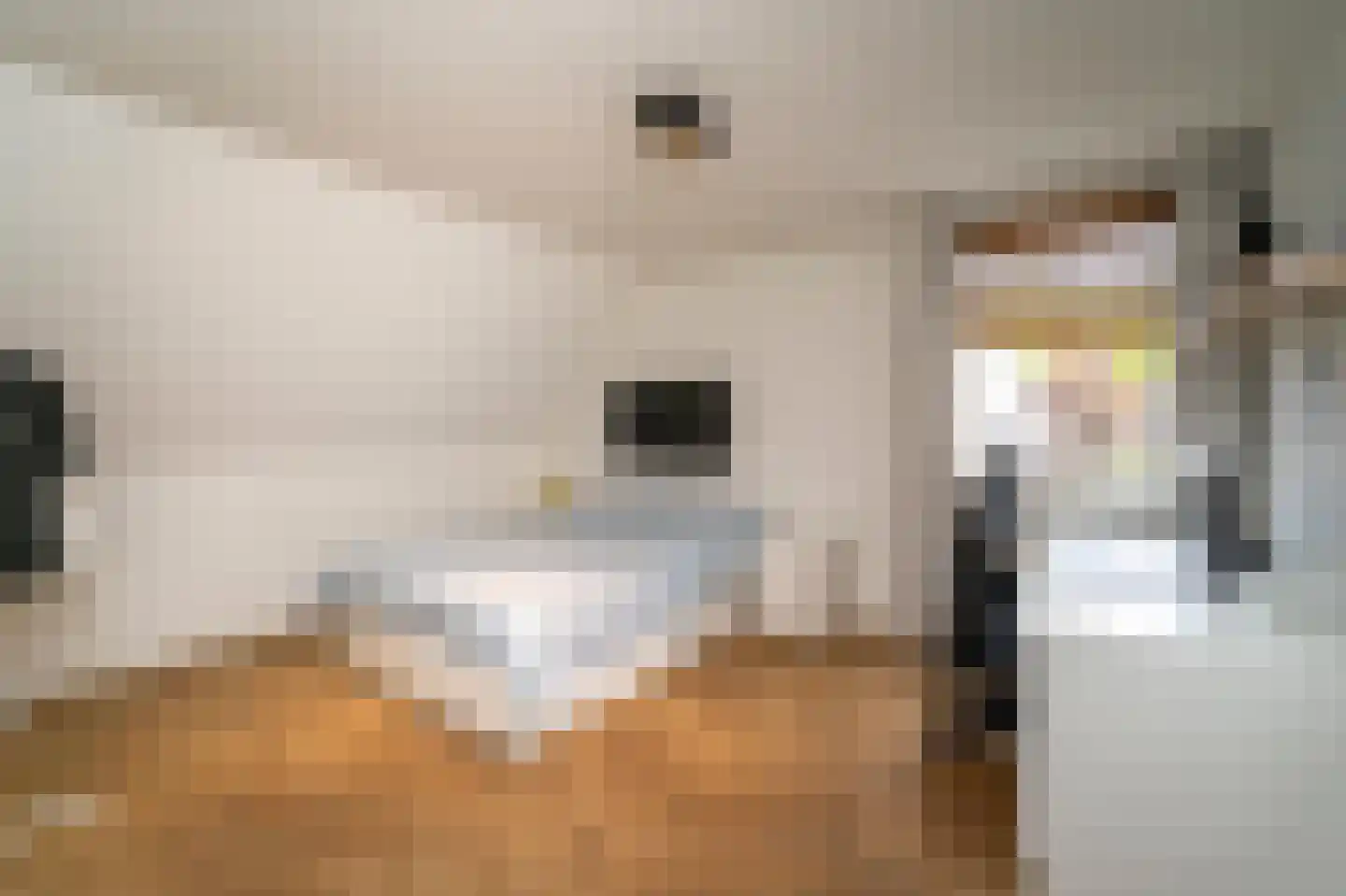 Van Haestrechtstraat 70 Goirle thumbnail 33