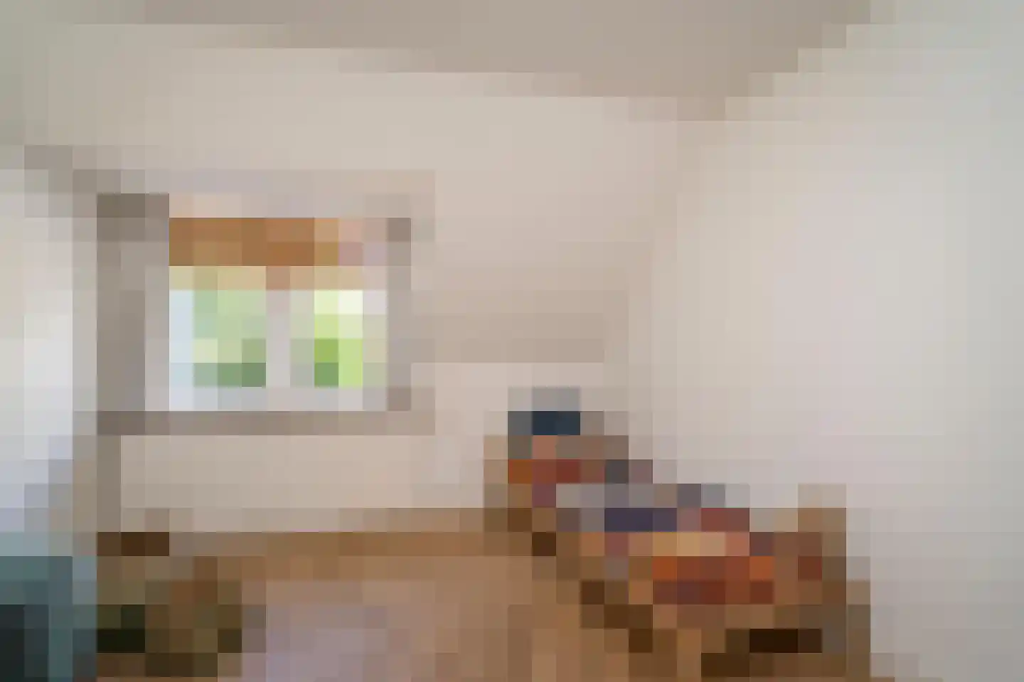 Van Haestrechtstraat 70 Goirle thumbnail 34