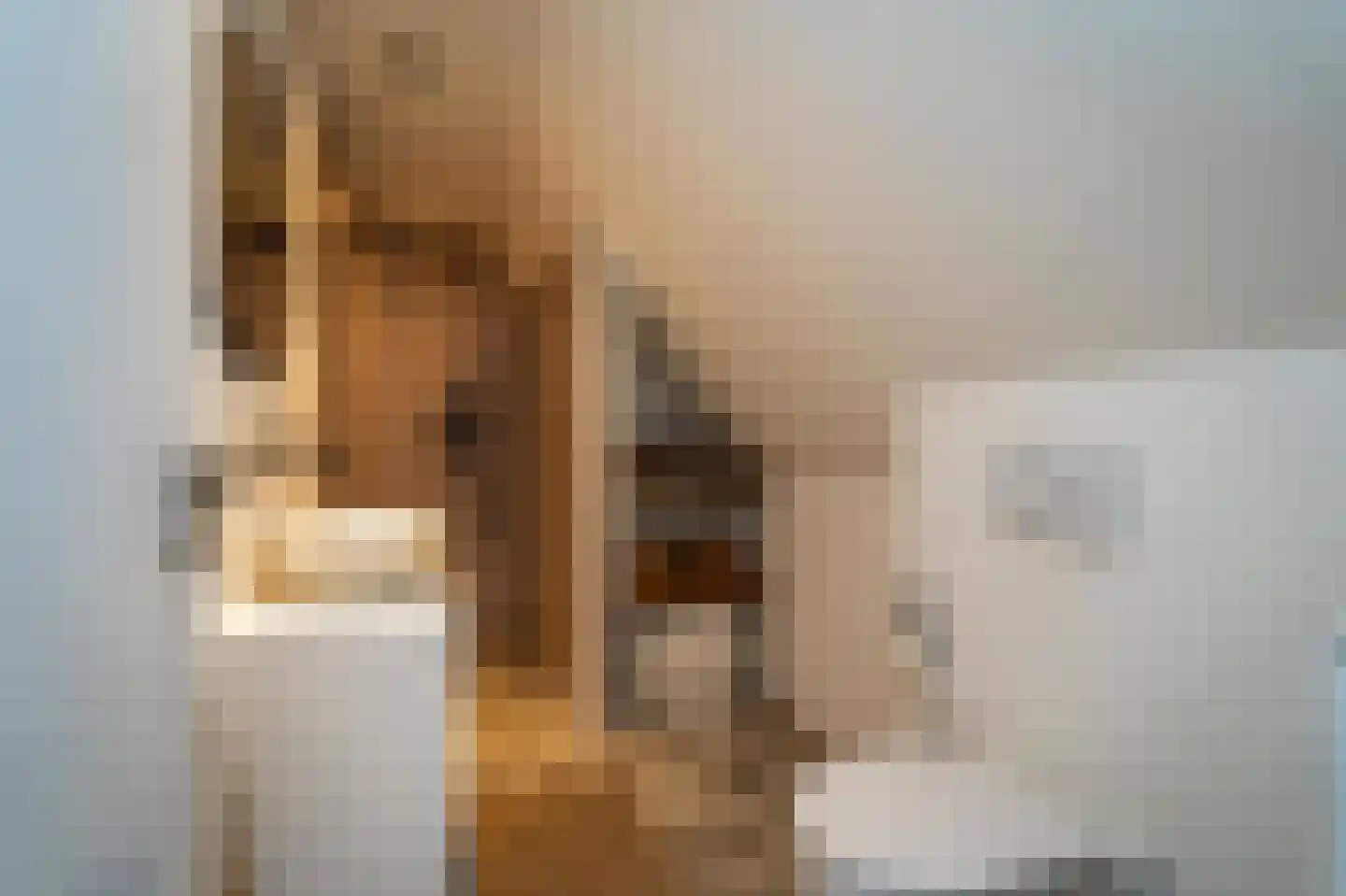 Van Haestrechtstraat 70 Goirle thumbnail 35