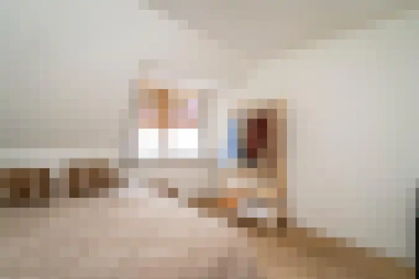 Van Haestrechtstraat 70 Goirle thumbnail 36