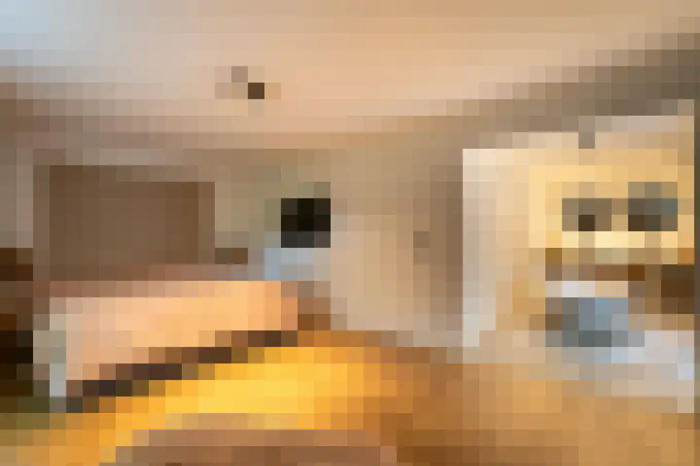 Van Haestrechtstraat 70 Goirle thumbnail 38