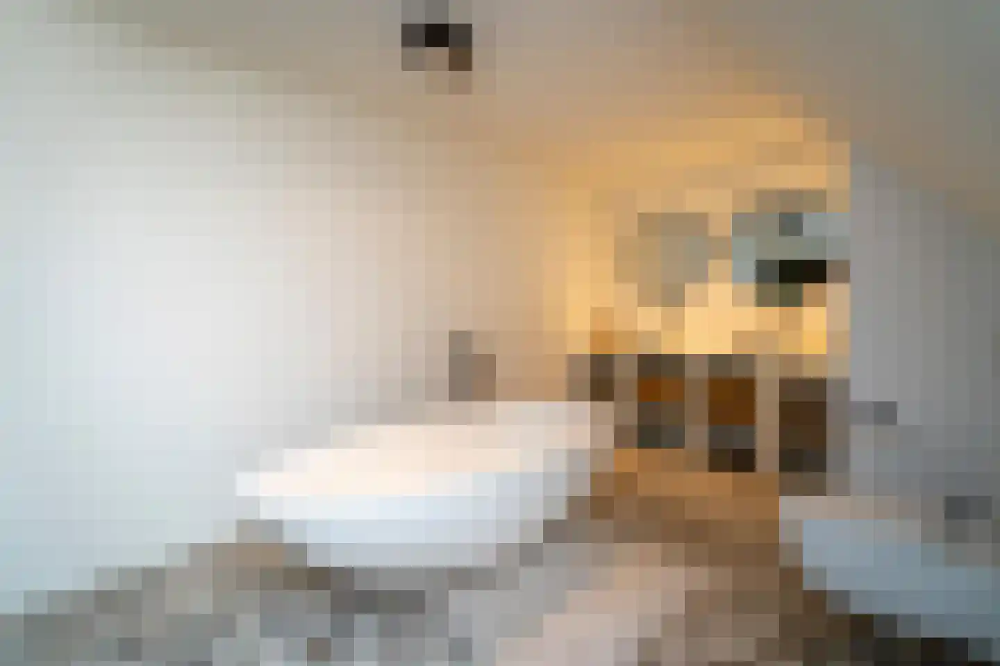 Van Haestrechtstraat 70 Goirle thumbnail 39