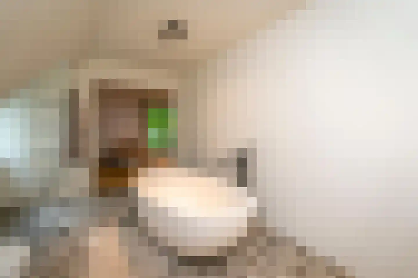 Van Haestrechtstraat 70 Goirle thumbnail 40
