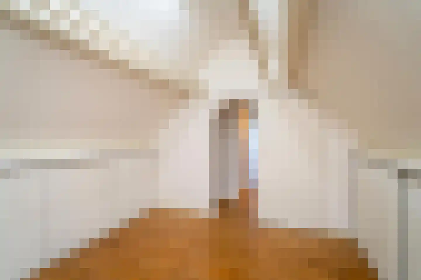 Van Haestrechtstraat 70 Goirle thumbnail 42