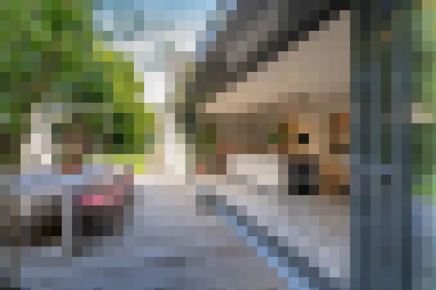 Van Haestrechtstraat 70 Goirle thumbnail 44