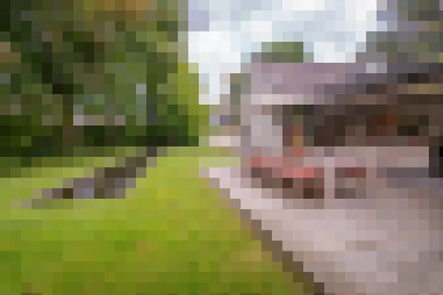 Van Haestrechtstraat 70 Goirle thumbnail 45