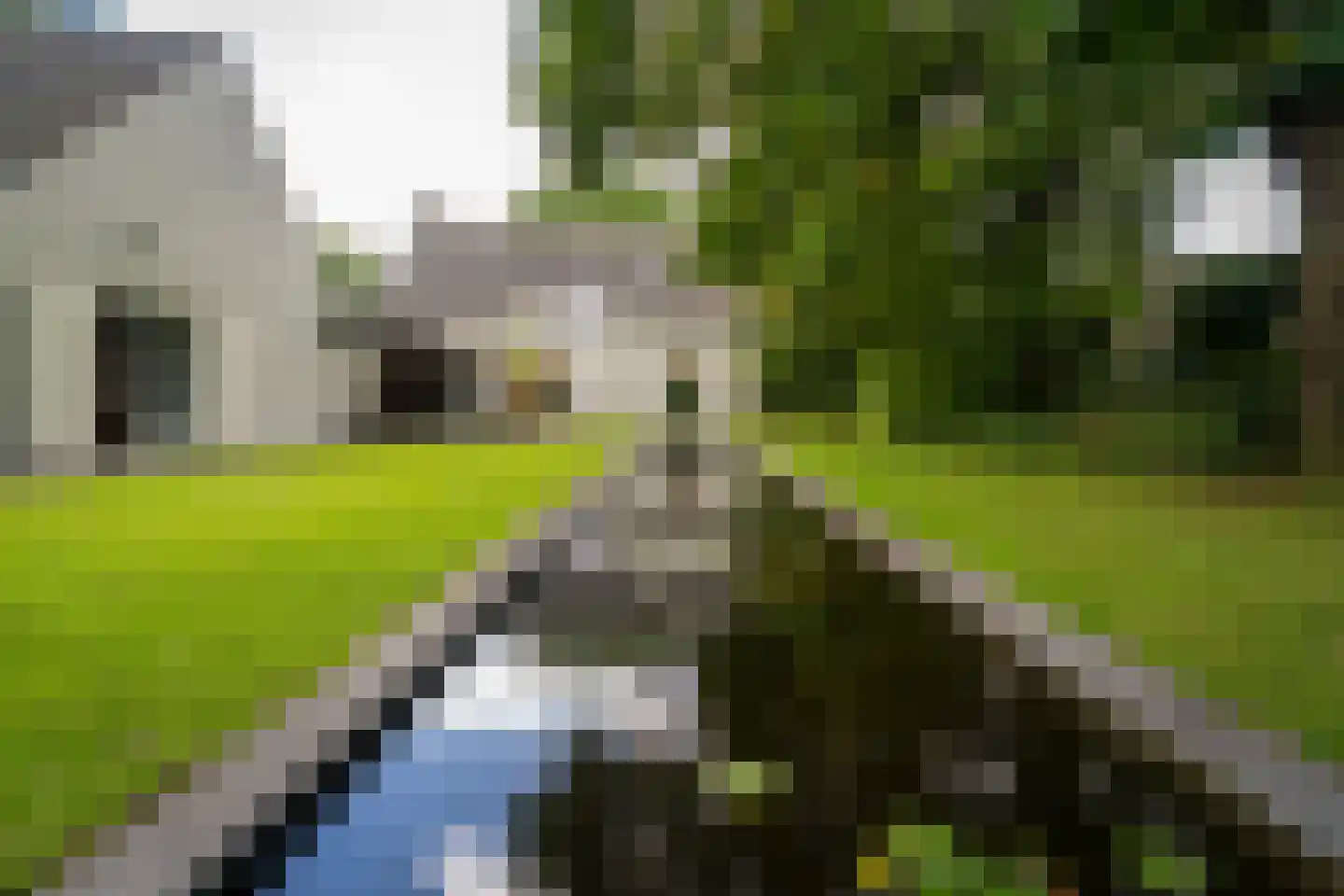 Van Haestrechtstraat 70 Goirle thumbnail 48