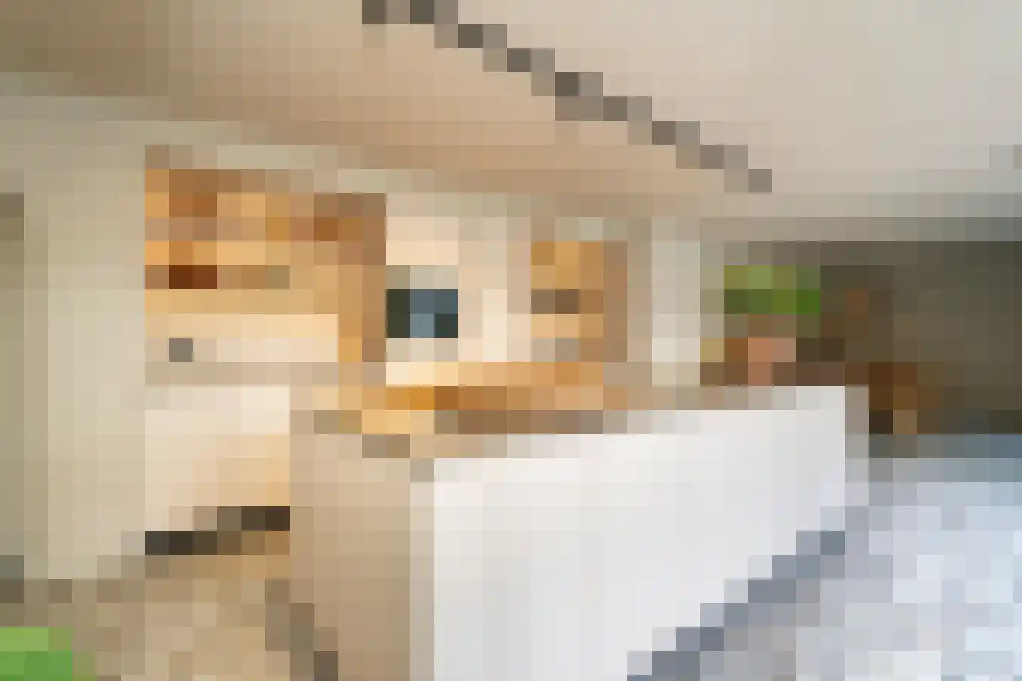 Van Haestrechtstraat 70 Goirle thumbnail 5