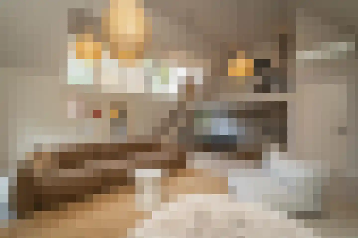 Van Haestrechtstraat 70 Goirle thumbnail 6