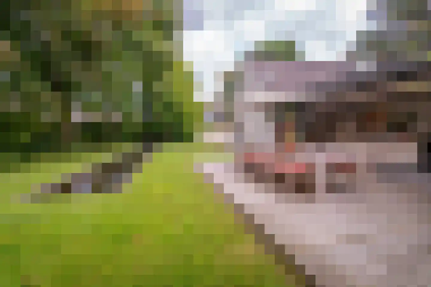 Van Haestrechtstraat 70 Goirle thumbnail 7