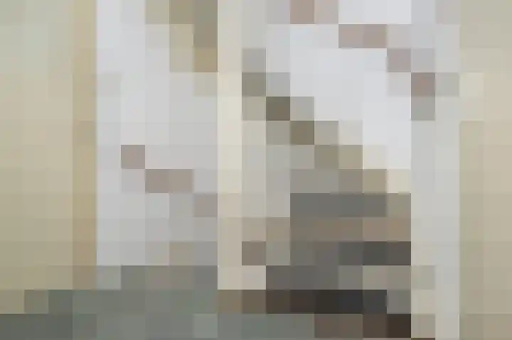 Van Halenstraat 15 Oude-Tonge thumbnail 12