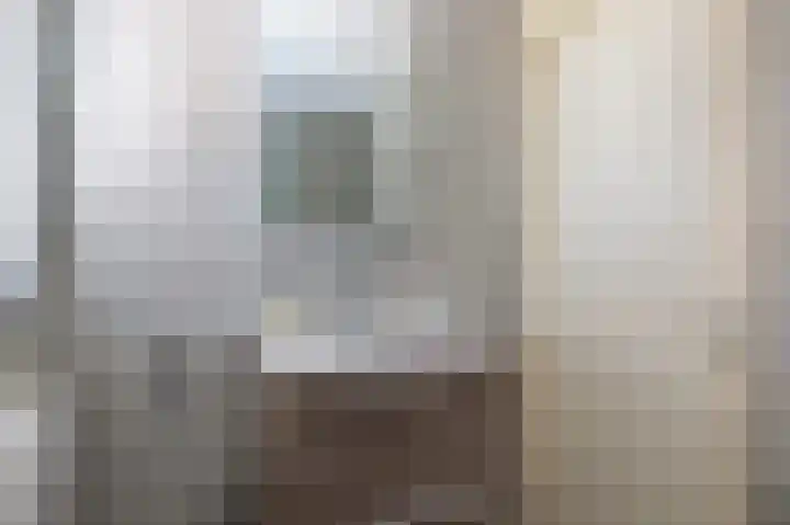 Van Halenstraat 15 Oude-Tonge thumbnail 13