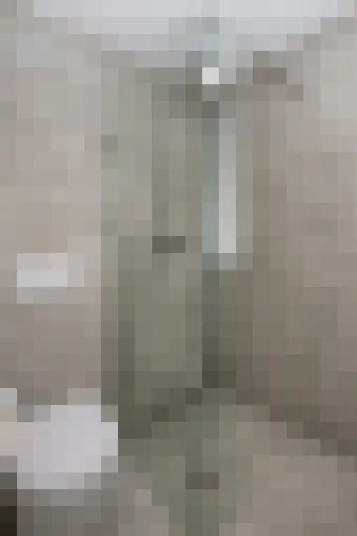 Van Halenstraat 15 Oude-Tonge thumbnail 14