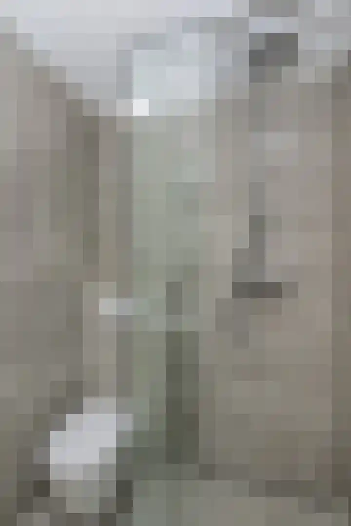 Van Halenstraat 15 Oude-Tonge thumbnail 15