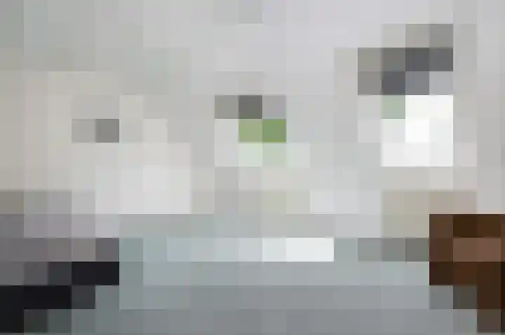 Van Halenstraat 15 Oude-Tonge thumbnail 16