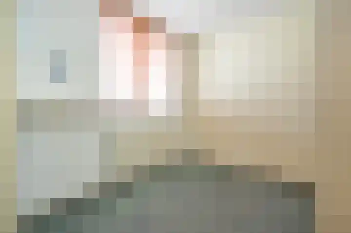 Van Halenstraat 15 Oude-Tonge thumbnail 18