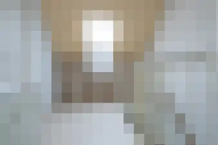 Van Halenstraat 15 Oude-Tonge thumbnail 19