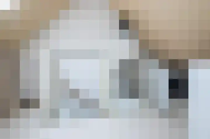 Van Halenstraat 15 Oude-Tonge thumbnail 20